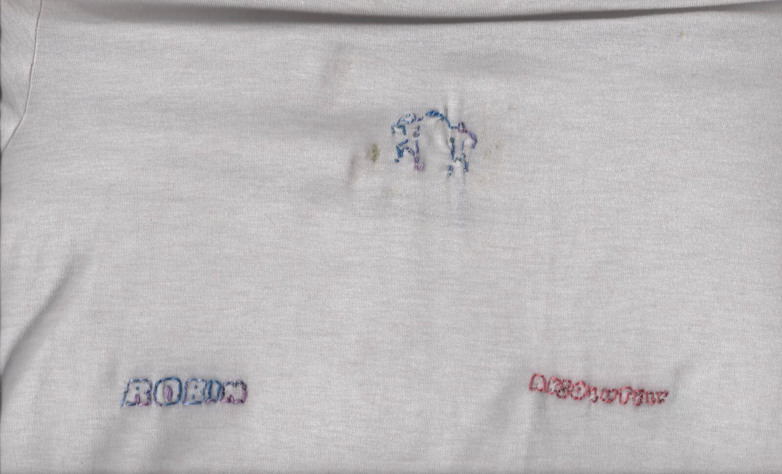 Weißes T-Shirt mit den gestickten Schriftzügen „ROBIN“ und „absolutely“ und einem nachgestickten Rave-Logo